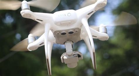 apt attack bald eagle downs egle drone  world  aviation