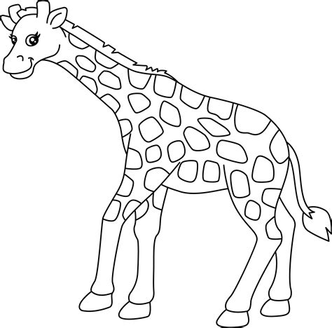 giraffe coloring page isolated  kids  vector art  vecteezy