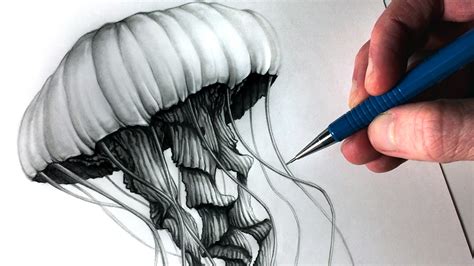 draw  jellyfish youtube