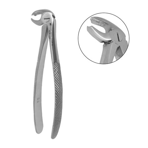 buy waldent tooth extraction forceps  molars