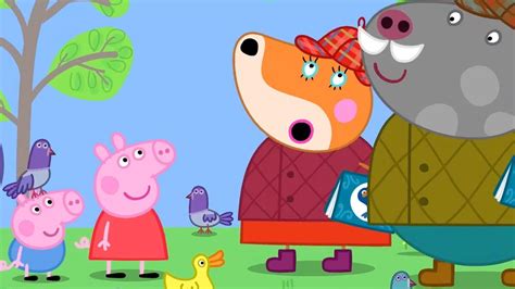 peppa pig full episodes season  compilation  kids video youtube