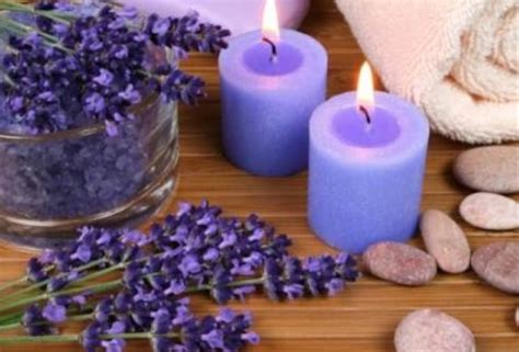 lavender spa  wellness