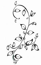 Vine Tattoo Celtic Tattoos Vines Border Clip Cliparts Corner Add Clipart Designs Tribal Flower Favorites Drawings Drawing Simple sketch template