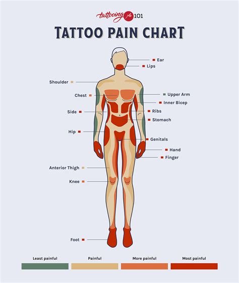 Arm Tattoo Placement Chart