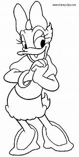 Daisy Duck Coloring Pages Disney Donald Mickey Para Colorear Outline Mouse Drawing Draw Cartoon Colouring Drawings Minnie Dibujos Printable Sheets sketch template
