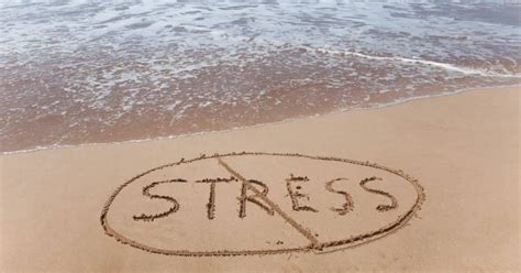 stress relief  quick  easy tips snappy living