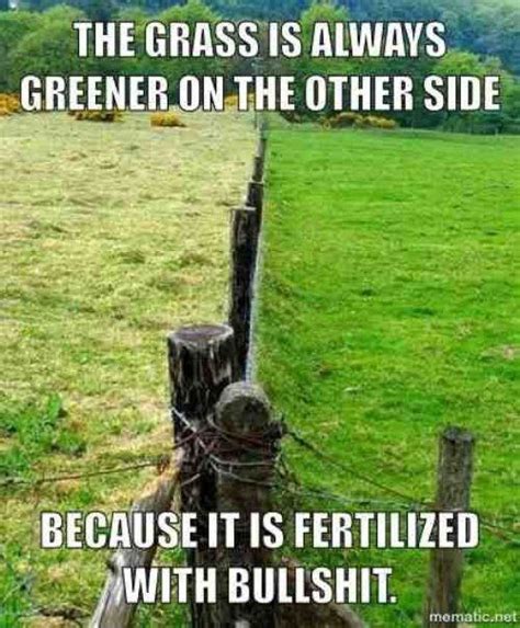 Fertilized Future Funny Pictures Funny Quotes Humor