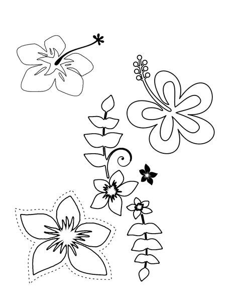 tropical flower coloring pages printable flower coloring pages