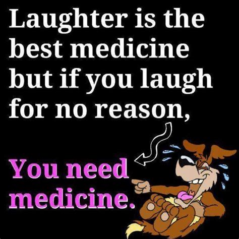 laughter very funny quotes laughter quotes friday quotes funny