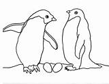 Coloring Arctic Pages Animals Penguin Couple Tundra Drawing Printable Polar Animal Penguins Getdrawings Eggs Kids Color Preschoolers Popular sketch template