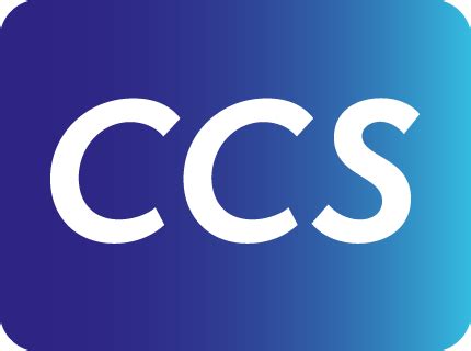 ccs content conversion specialists