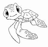 Squirt Nemo Finding Deviantart Drawings sketch template