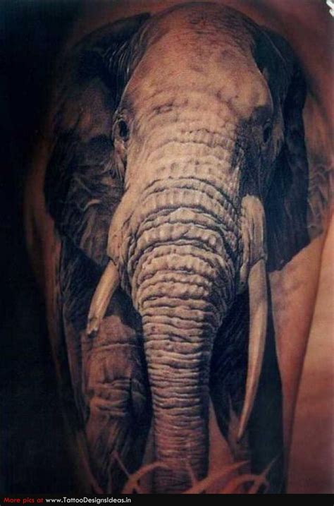 wild tattoos elephant tattoo on body