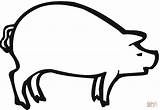 Pig Coloring Sow Drawing Pages Outline Printable Clipart Outlines Color Smiling Super Clipartbest Print Getdrawings Gif Version Clip Supercoloring Categories sketch template