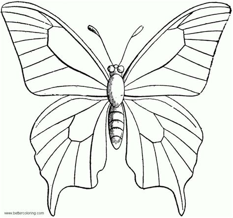 butterfly coloring pages clipart  printable coloring pages