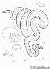 Python Coloring Pages Colorkid Print Gif sketch template