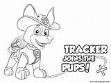 Patrol Paw Tracker Pups Colouring Pobarvanke Scribblefun Rubble sketch template