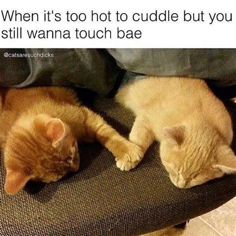 When Its Too Hot To Cuddle But You Still Wanna Touch Bae Pictures