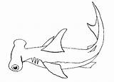 Tiburon Rechin Colorear Martillo Dibujos Pez Shark Colorat Desene Hammerhead Planse Tiburón Marinos Imagini Pesti Rechinul Imaginea sketch template