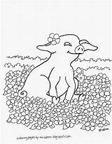Coloring Pig Baby Printable Pages Coloringpagesbymradron Adron Mr Kids sketch template
