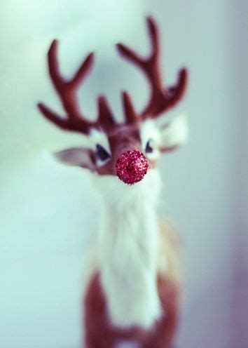 rudolph  red nose reindeer    shiny nose