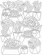Adultcoloringpages Succulents sketch template