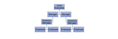 hierarchical organization structure  scientific diagram