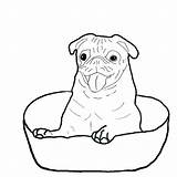 Pug Coloring Pages Dog Baby Pugs Bowl Color Inside Happy Print Printable Getcolorings Dogs Drawing Outline Choose Board sketch template