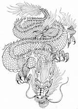 Dragon Japanese Drawing Tattoo Sketch Tattoos Line Sketches Drawings Designs Traditional Chinese Dragons Deviantart Tatoo Cool Meaning Paintingvalley Concept Japan sketch template