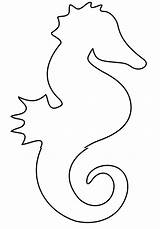 Seahorse Seepferdchen Vorlage sketch template