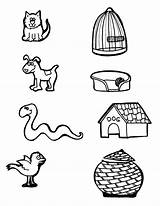 Coloring Animal Matching Sheets Activity Activities Okul Eşleştirme Sheet Janice Frontiernet sketch template