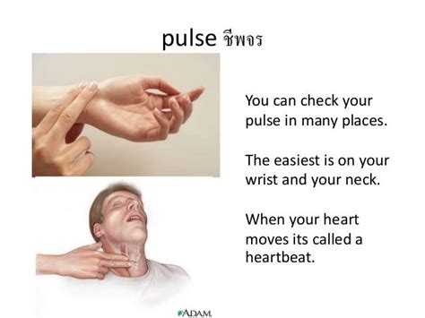 how do you check your pulse