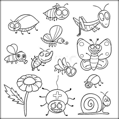 pin  insects coloring pages