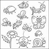 Coloring Pages Insect Kids Insects Color Bugs Colouring Printable Pdf Preschool Garden Getdrawings Sheets Print Getcolorings Online Zini Animal sketch template