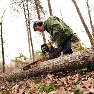 chainsaws  sale  buy   reviews