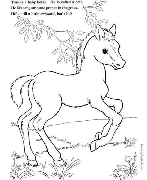 coloring page  horse  print