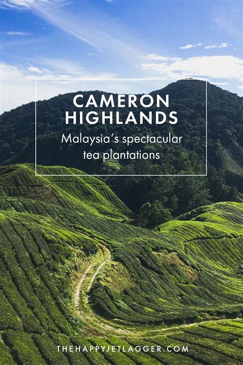 cameron highlands naturerlebnis in malaysia tipps für