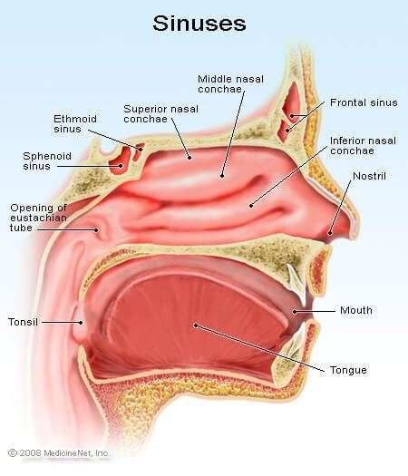 chronic rhinitis and post nasal drip treatment symptoms and cure