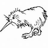 Kiwi Bird Coloring sketch template