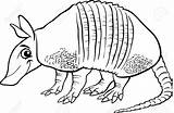 Armadillo Coloring Clipart Cartoon Pages Vector Stock Cute Realistic Clip Tatu Sheet Animal Printable Shutterstock Results Coloringbay Webstockreview Clker sketch template