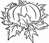 Coloring Pumpkin Pages Print Blank Kids Halloween Fall Large Printable Color Drawing Adults Template Pumpkins Sheets Patch Online Book Plant sketch template