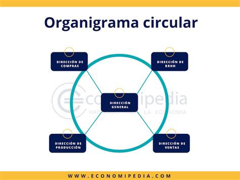 Organigrama Circular Qué Es Definición Y Concepto 2023 Economipedia