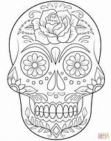 Coloring Skull Sugar Pages Roses Printable Flowers Popular sketch template