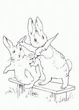 Peter Rabbit Coloring Pages Baby Site Movie sketch template