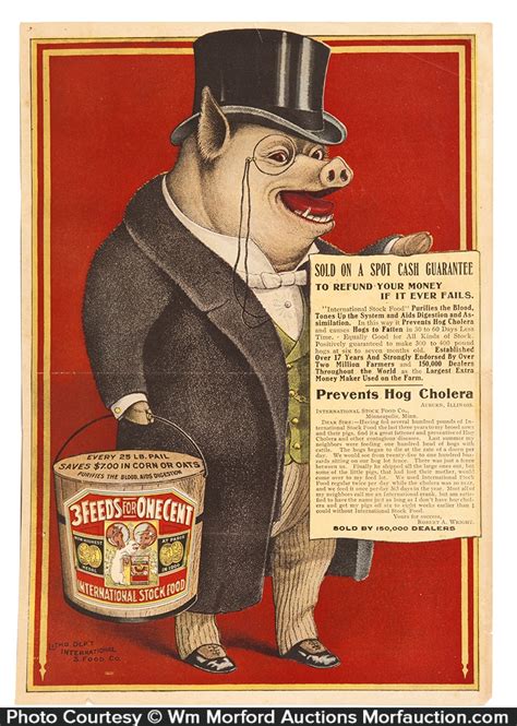 international stock foods ad antique advertising