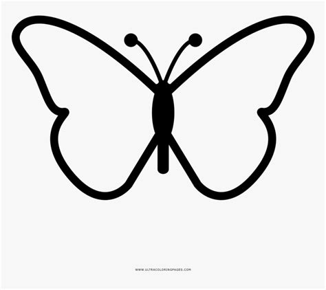 butterfly coloring page butterfly design drawing easy hd png