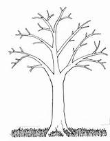 Coloring Tree Bare Printable Fall Pages Leaves Popular Template Clipart Trees sketch template