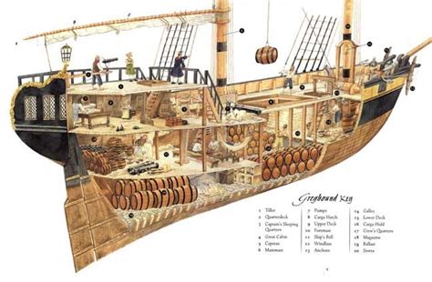piratediary ship diagram tall ships  sailing ships sailing ships