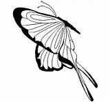 Alas Papillon Mariposa Farfalla Colorare Borboleta Ailes Asas Grandi Mariposas Colorir Disegni Colorier Coloritou Acolore Imagui sketch template