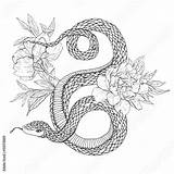 Snakes Coloring Tattoo Flowers Books Comp Contents Similar Search sketch template
